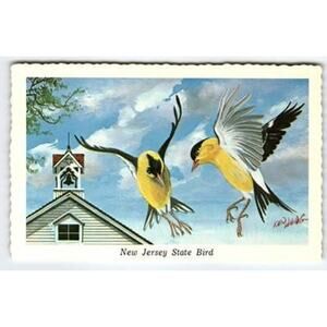 New Jersey State Bird Eastern Goldfinch Vintage Ken Haag Postcard